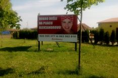 zöldségpiac sándor_6